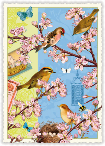 Nostalgiekarte Vögel